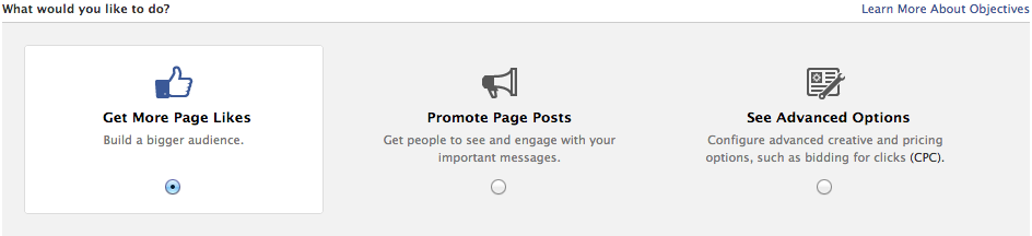 facebookadsoptions