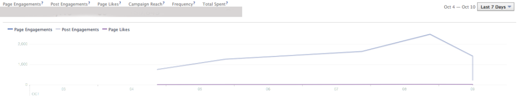 Facebook Ads Report